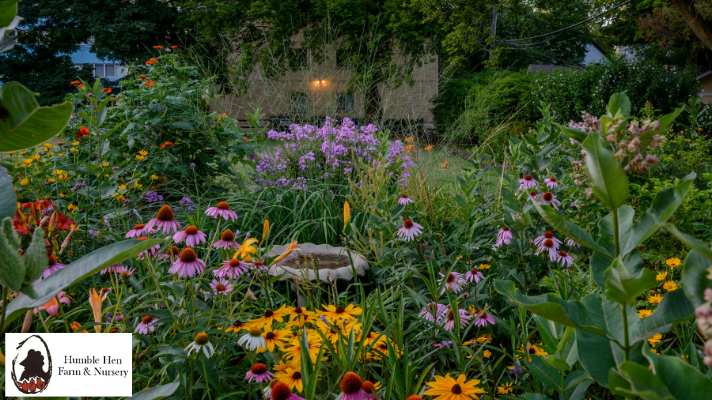 Perennial Garden Design Ideas for Small Spaces: Make Every Inch Count