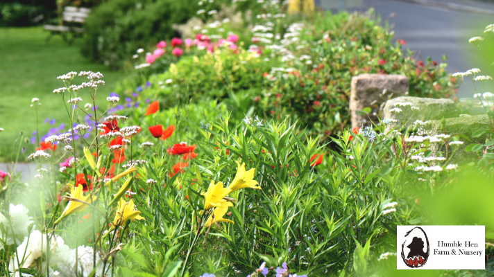 Tips for Planting Perennials in Fall: Maximizing Your Garden’s Potential