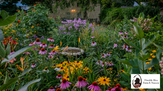 Tips for Planting Perennials in Fall: Maximizing Your Garden’s Potential