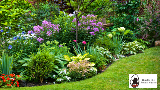 Winterizing Your Perennial Garden: Essential Tips for a Flourishing Spring