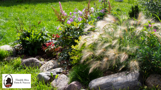 Your Ultimate Fall Garden Maintenance Checklist for a Flourishing Spring